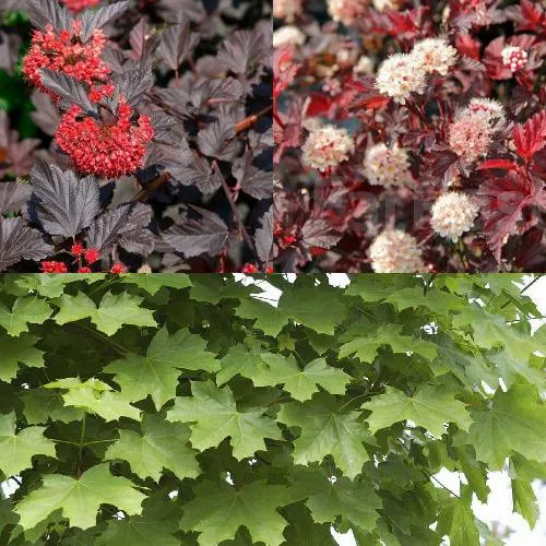 Комплект ОСЕННИЙ КОСТЕР в Волгограде