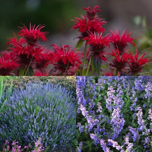 Комплект АРОМАТНЫЙ ЧАЙ в Волгограде