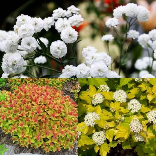 Комплект СОЛНЕЧНЫЙ МИКС в Волгограде