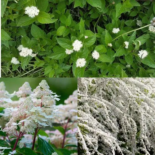 Комплект СКАНДИНАВСКИЙ СТИЛЬ в Волгограде