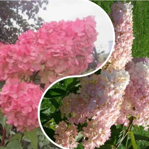 Комплект МНОГОГРАННОСТЬ в Волгограде