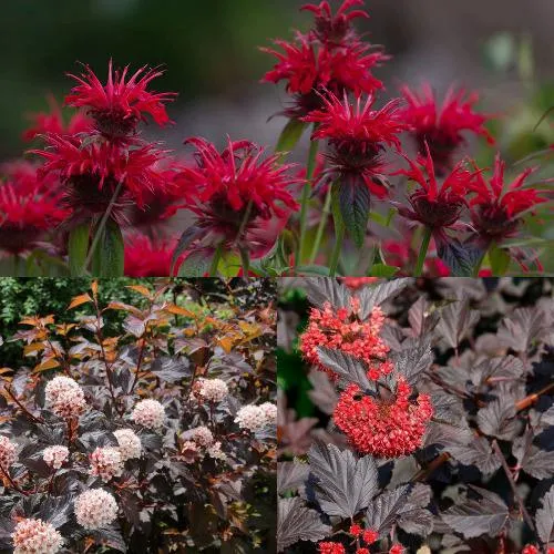 Комплект ОГНЕННЫЙ МИКС в Волгограде