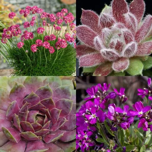 Комплект МИНИ САД в Волгограде