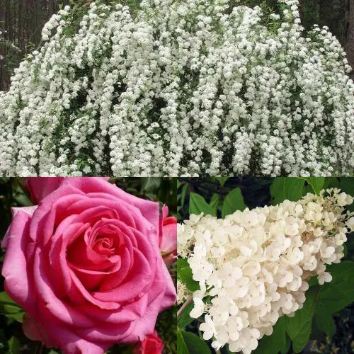 Комплект ВЕЧНАЯ КЛАССИКА в Волгограде