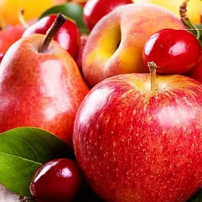 Плодовые деревья в Волгограде