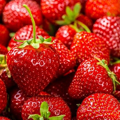 Ранняя в Волгограде